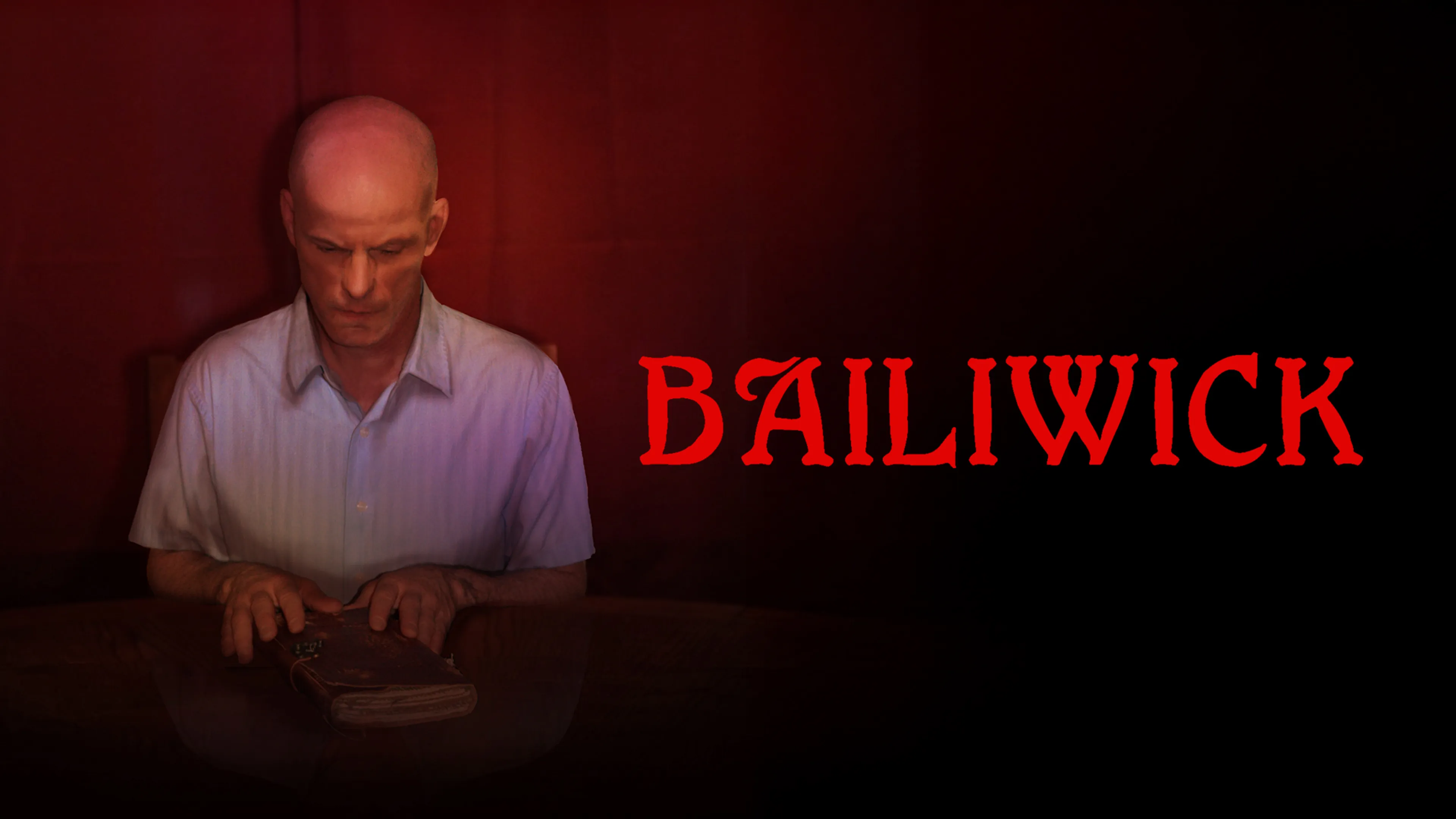 Bailiwick poster
